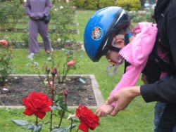 [2006.07.09EdenRoseGarden.jpg]