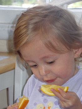 [2006.07.10HollandOrange.jpg]