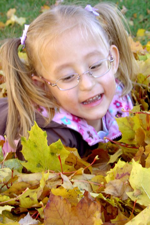 [2008.10.30HollandLeaves.jpg]