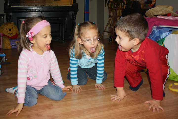 [2009.01.14doggies.jpg]