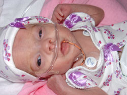 [2004.10.07EdenPurpleBows.jpg]