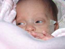 [2004.11.09HollandPeeking.jpg]