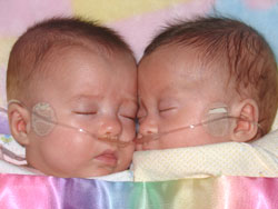 [2005.1.12SissiesSnuggling.jpg]