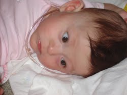 [2005.4.15HollandCannulaOut.jpg]