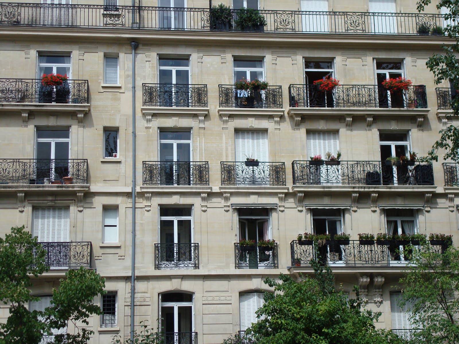 One foot in the Karoo: Paris window boxes