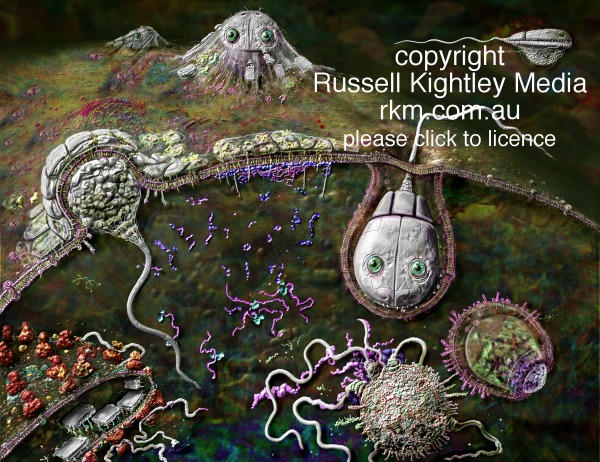 Virus Komputer makin Canggih Cuy..!!! impossible is nothing