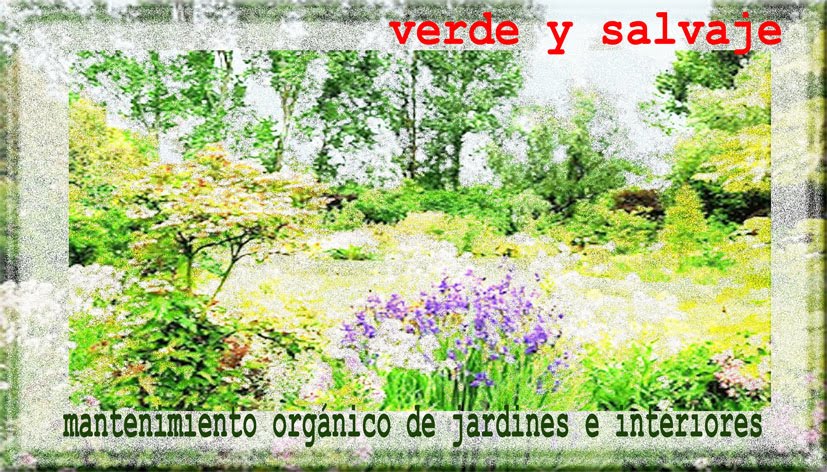 VerdE y SalvajE