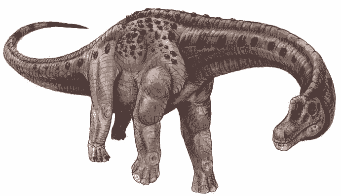 Nida Almustofa Dinosaurus Raksasa Penemunya Pertama Mengklasifikasikan Bruhathkayosaurus Sebagai Theropoda