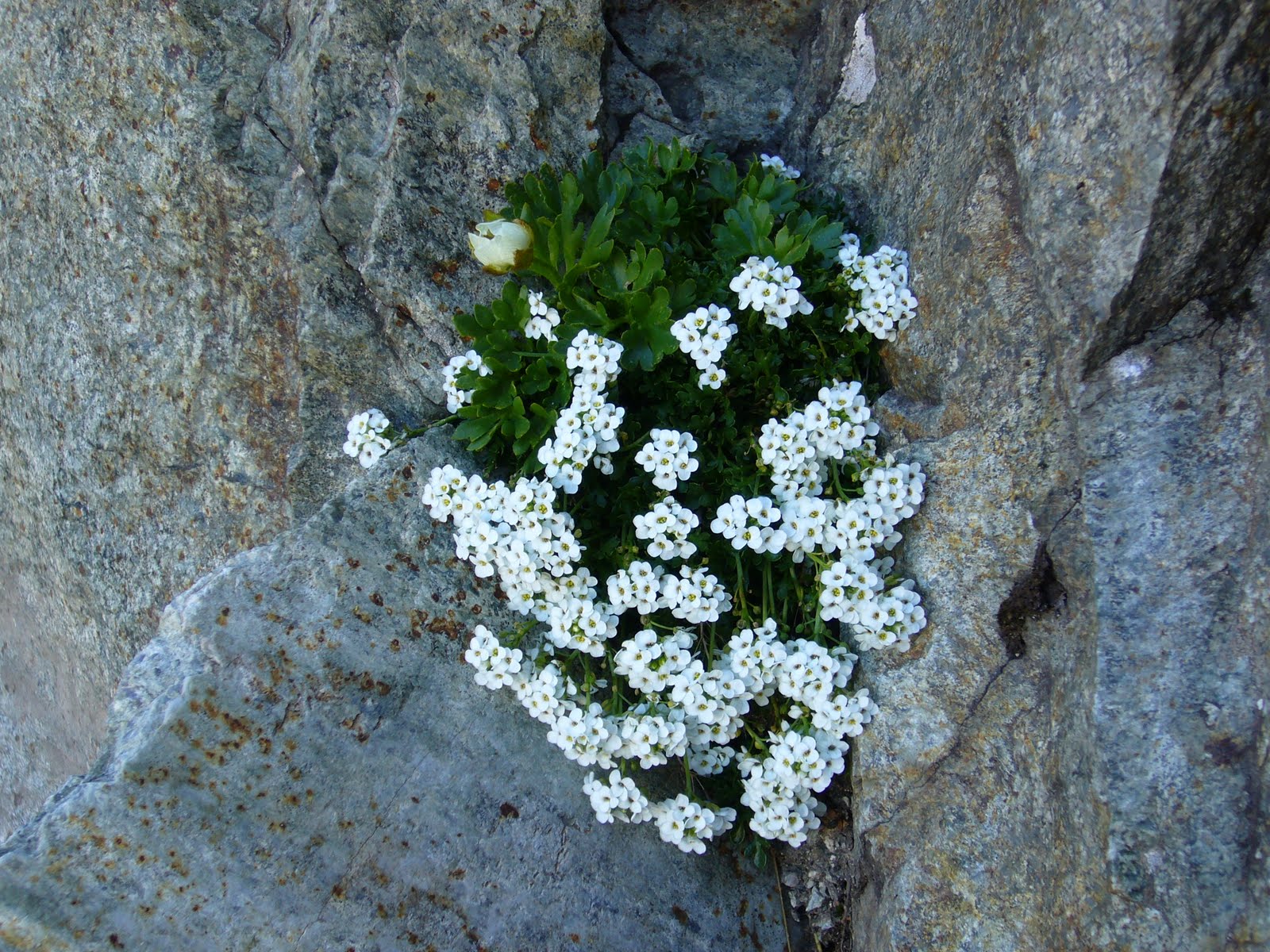 La Loc@: 5/09/10 - 12/09/10