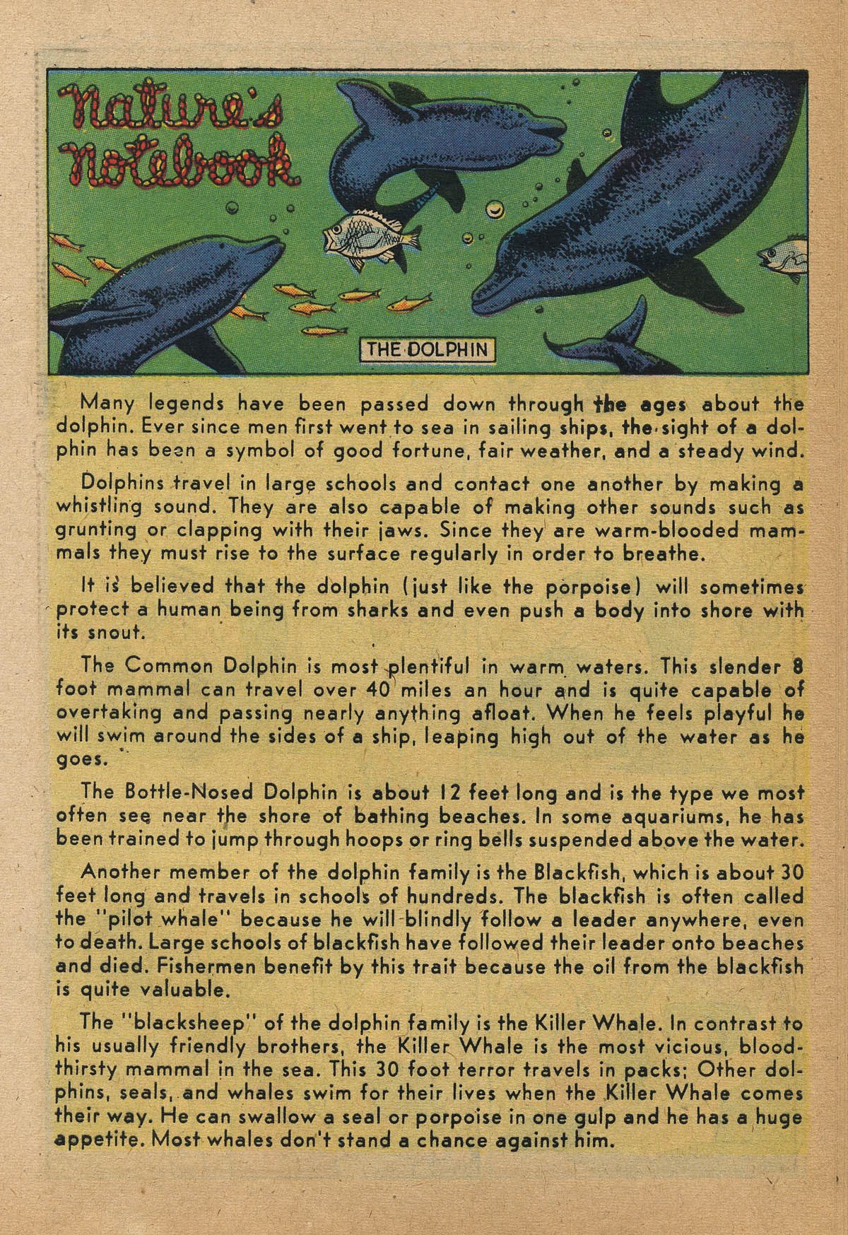 Read online Little Archie (1956) comic -  Issue #5 - 55