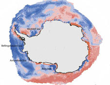 A map of the Southern Ocean’s salinity since 1979 shows a marked decrease – or freshening (shown in blue) – in certain parts of the Ross, Bellingshausen, Amundsen, and Weddell Seas