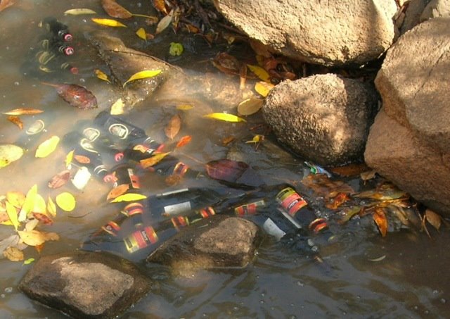 [Web+-+the+fridge.jpg]