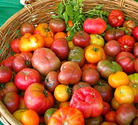 [tom_heydrienne.jpg]