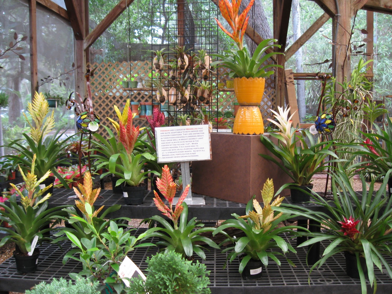 Eclectic Travels Marie Selby Botanical Gardens