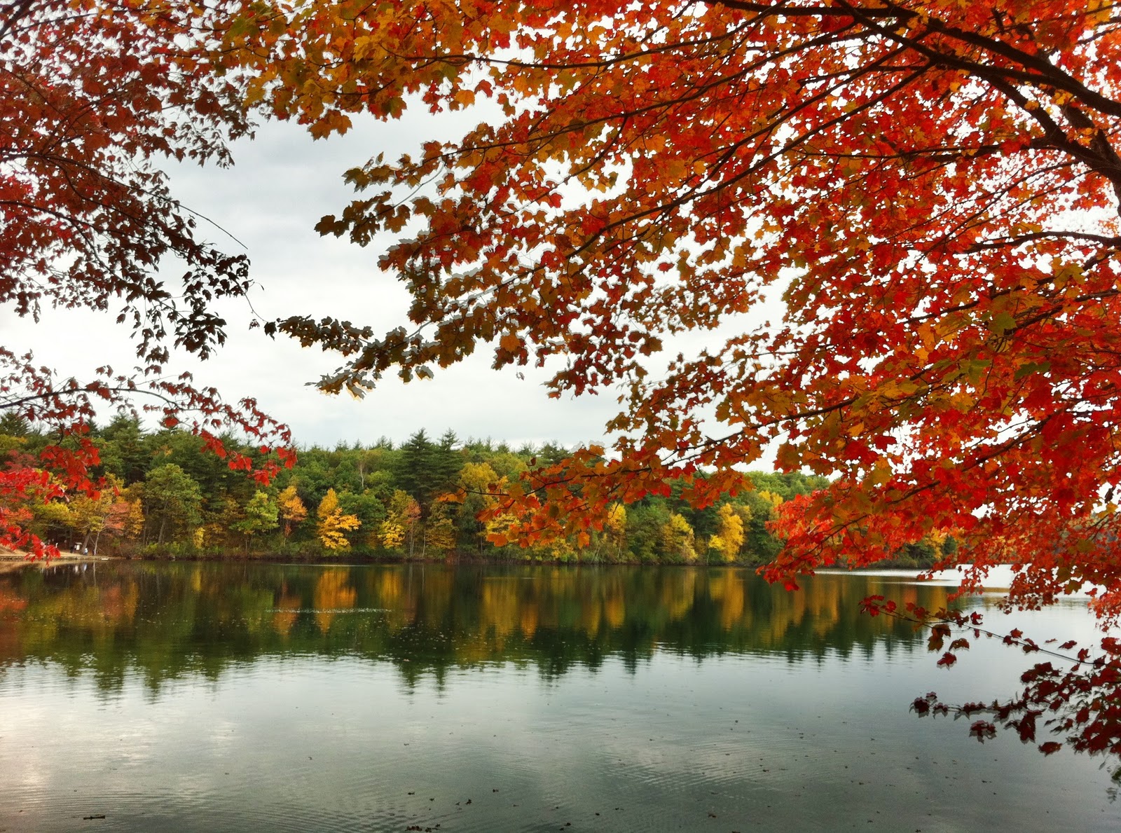 The Glengarry Sporting Club This Is Fall Walden Pond
