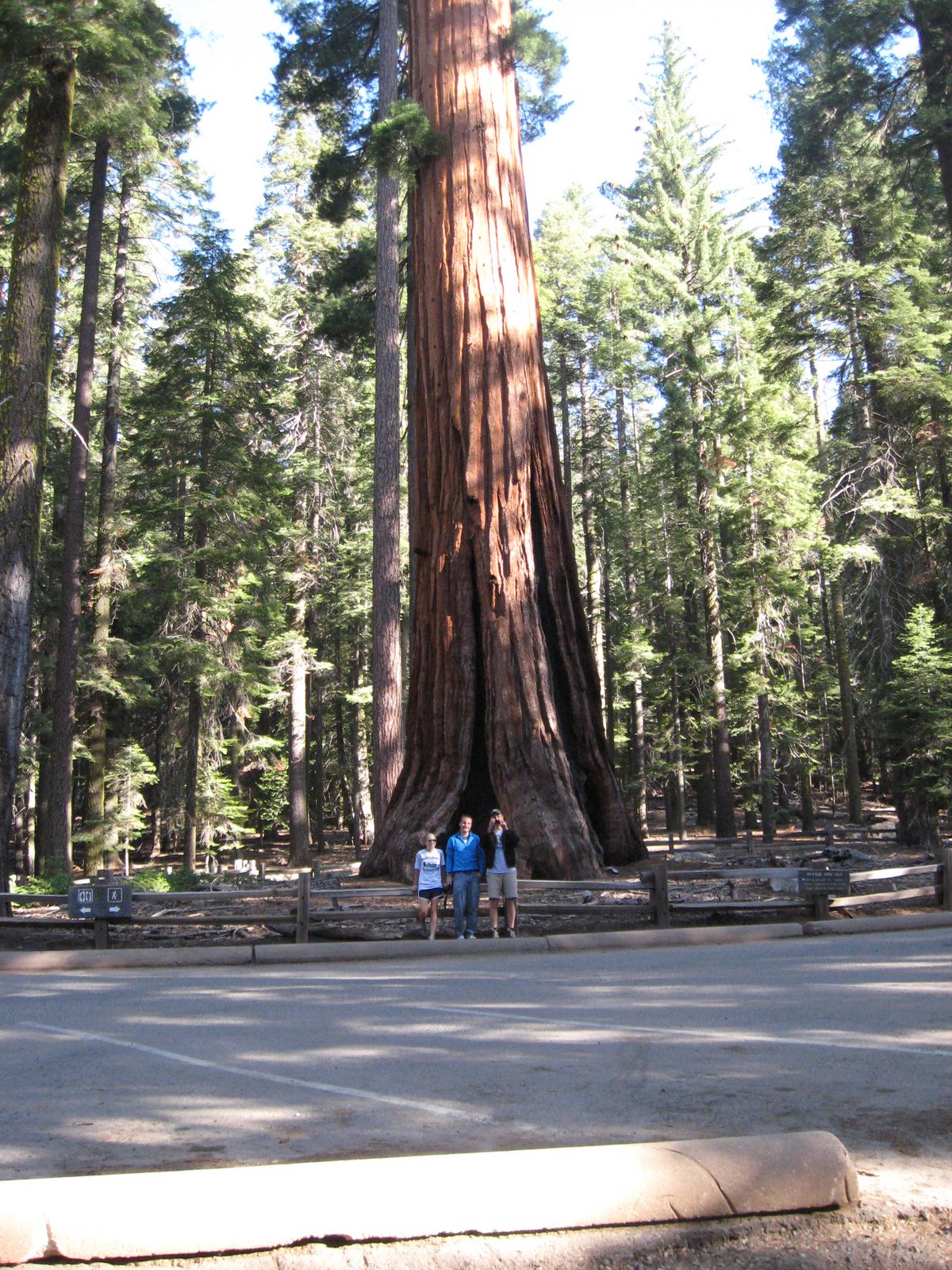 [sanfrancisco+025.jpg]