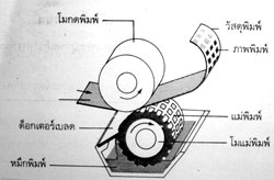 บทที่ 4 ระบบการพิมพ์