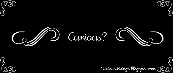 Curious Beings - Curiously Useful