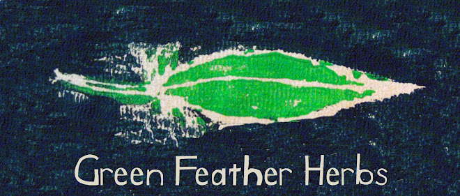 Green Feather Herbs