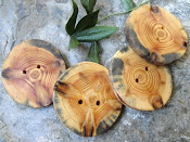 Unique Pine Tree-Branch Buttons