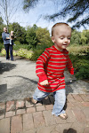 My Handsome Little Man, Taysen