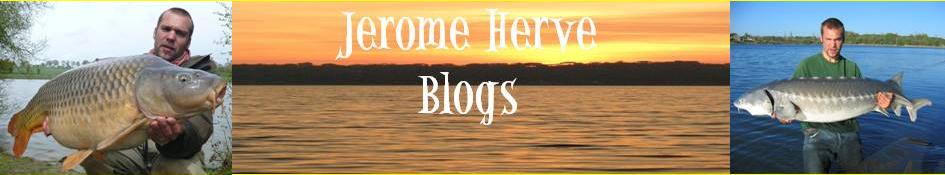 Jerome Herve Blogs