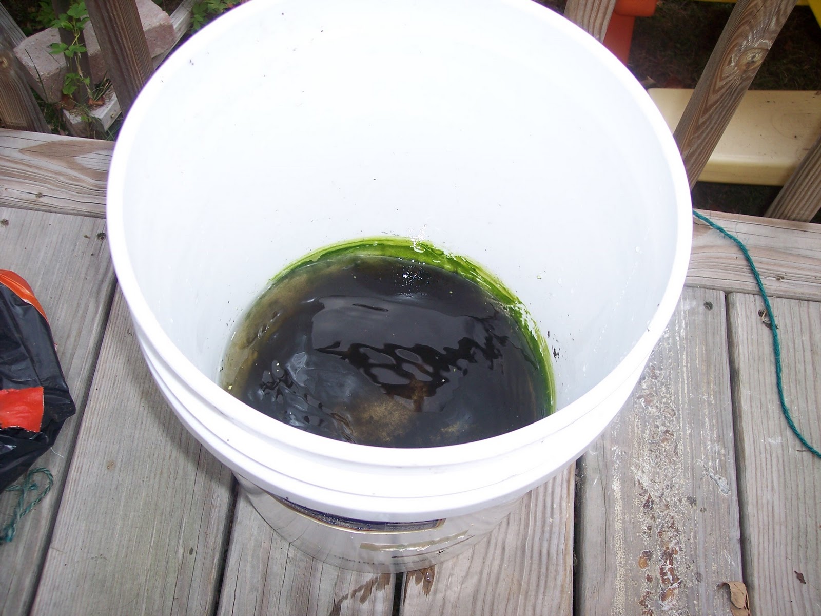 Ups & Downs Turnips! Garden update? Global bucket disassembly.