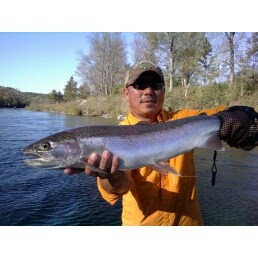 river muskegon fishing steelhead fly fall marquette manistee pere reports rivers michigan