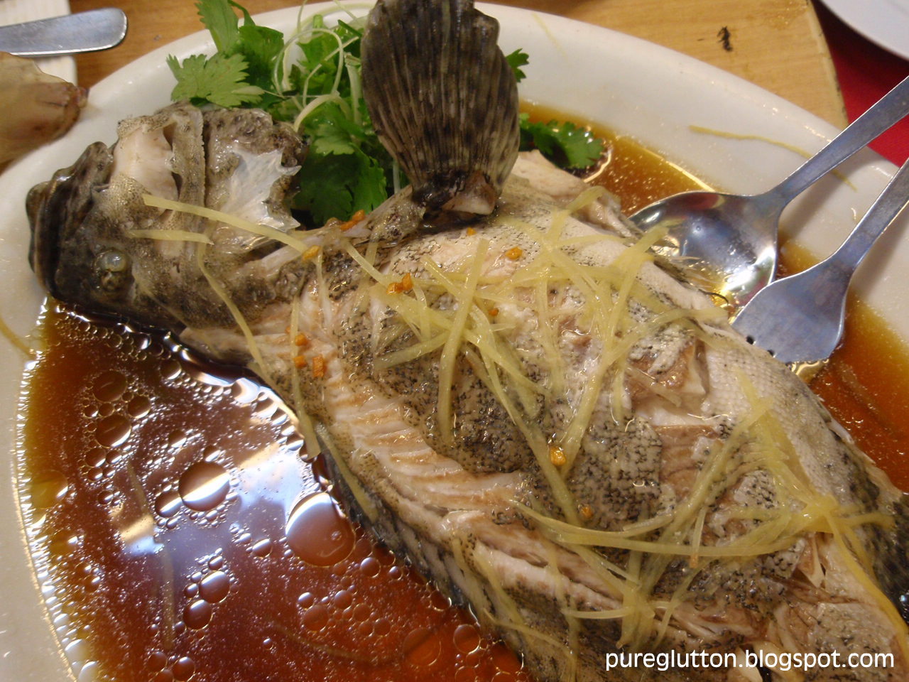 [PenangAug09+083.jpg]