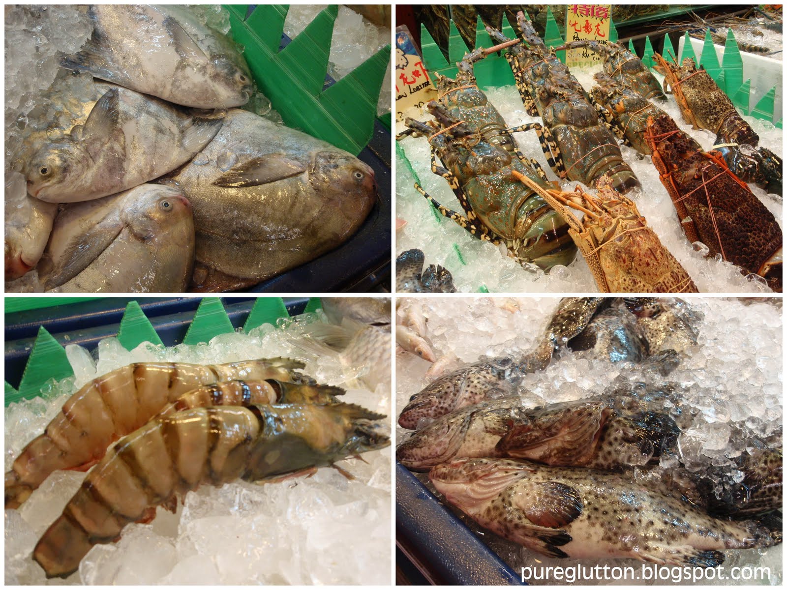 [Penang-Aug2009.jpg]