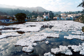 Decreto Ecológico 1