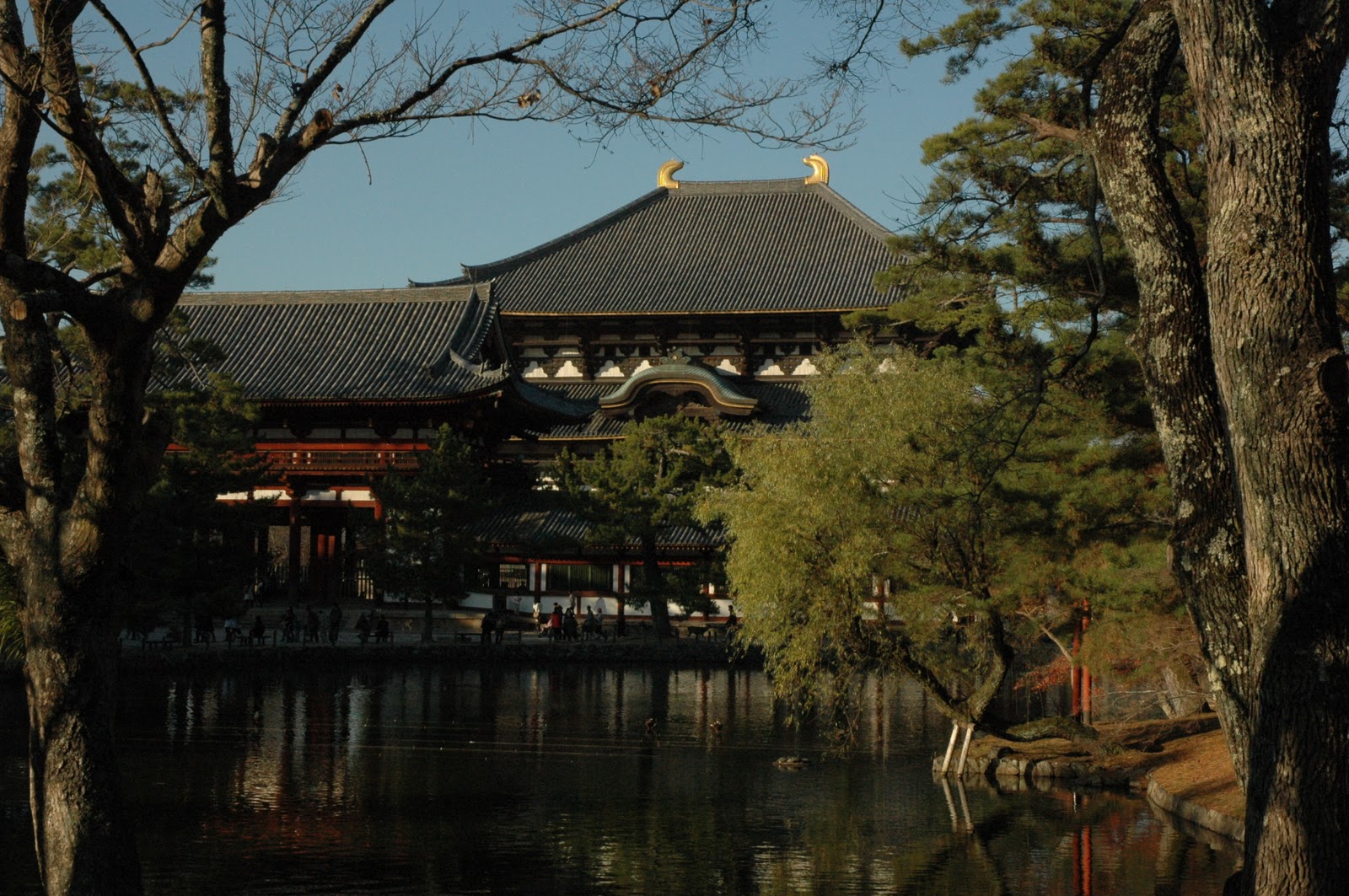 ARANOYAS The Largest Wooden Structure In The World