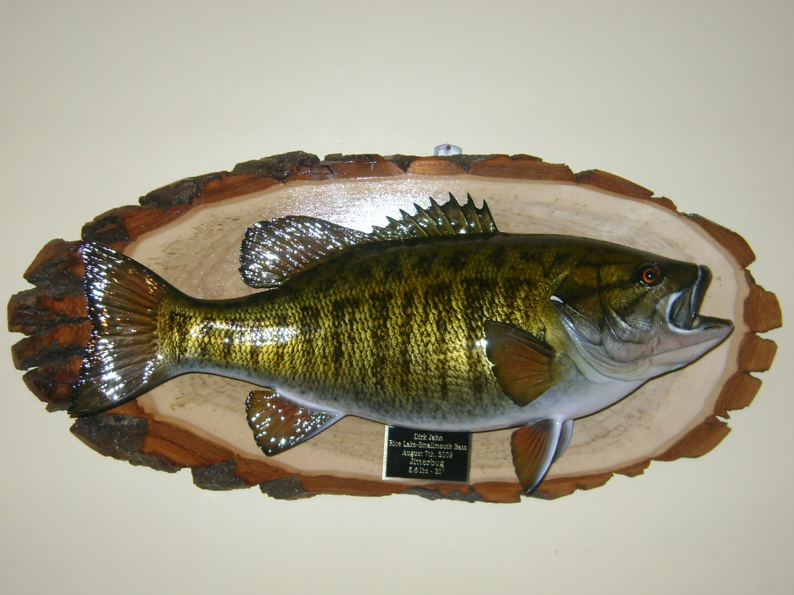 Dirk's Fishin Hole Advanced Taxidermy