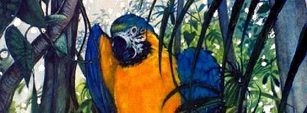 Joanne Miller-Petko ----- Paintings ----- A New Work A New Day -----