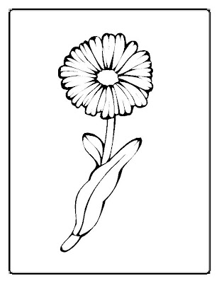 flowers coloring pages