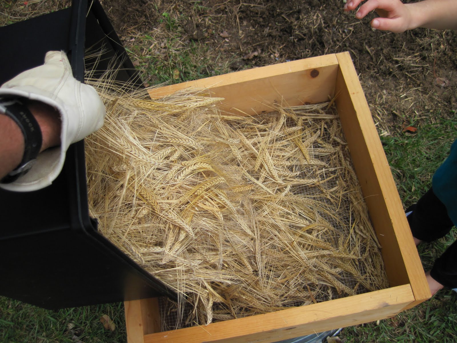 The Brown Book Growing Malting Barley at Home Threshing, Winnowing