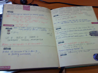 inside my planner, chaos!