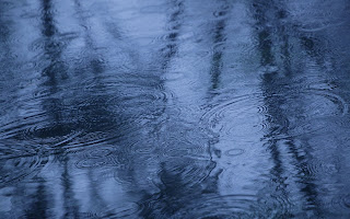 Ewallpics: Beautiful Rainy Nature Wallpapers