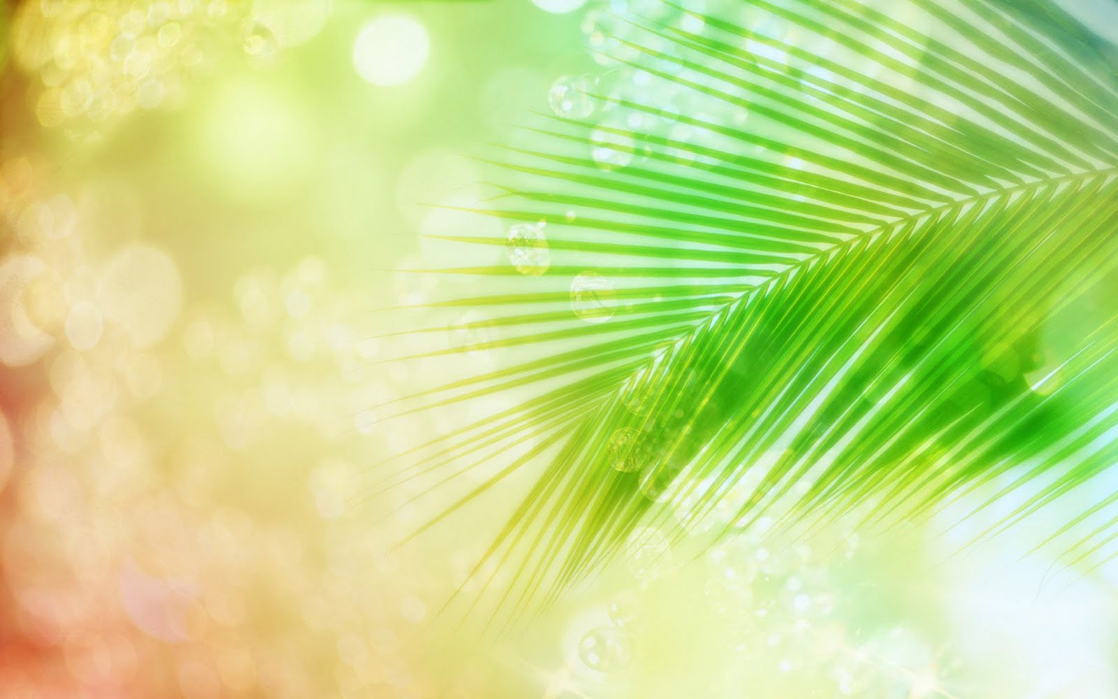 Ewallpics Shiny Beautiful Wallpapers Set2 1920x1200