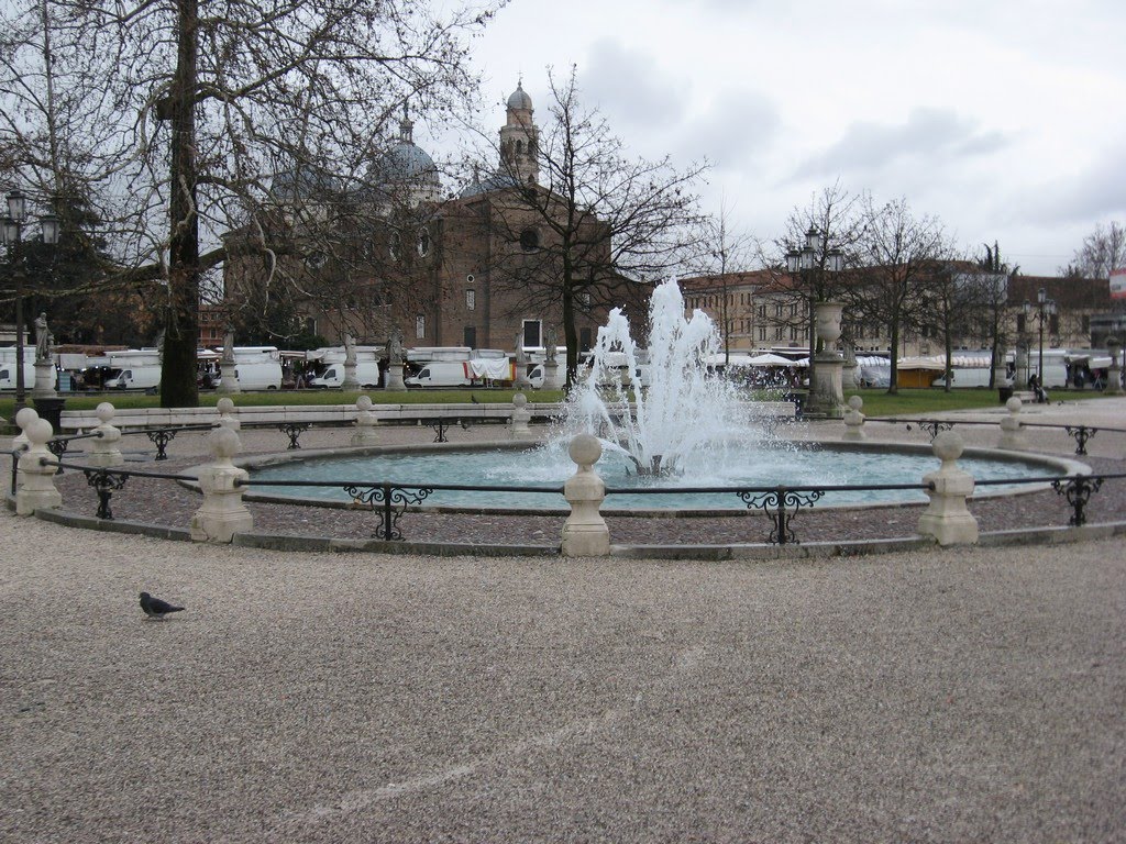 [IMG_0080.jpg]