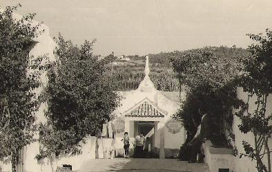 Tavarede Terra de meus Avos Fontes de Tavarede