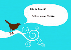 Catch us Tweeting on Twitter!