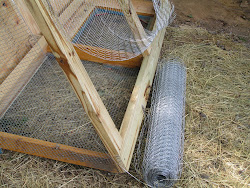 coop fashioned chicken fenced raccoon bottom keep gets