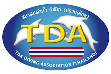 TDA