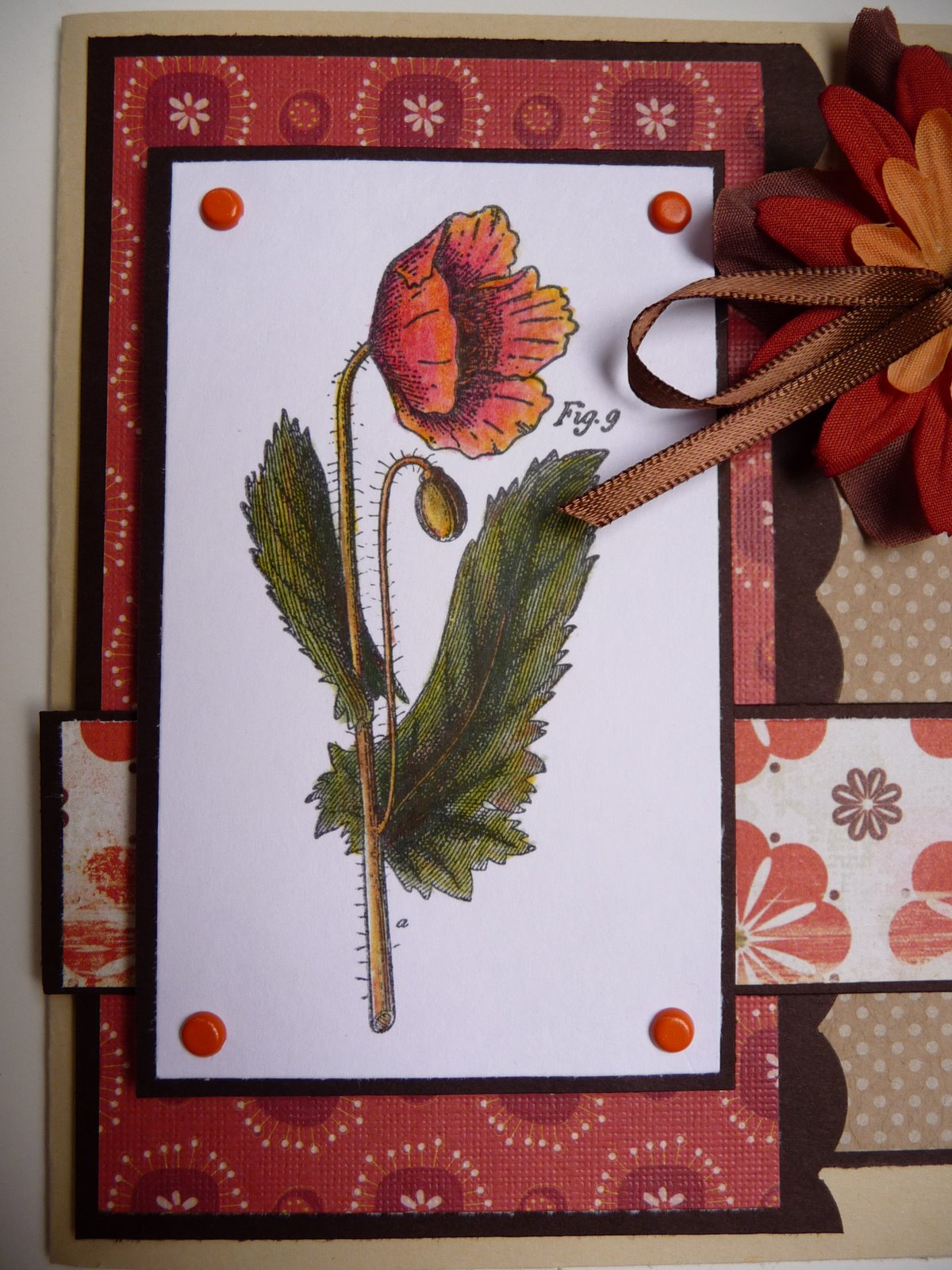 [Kat_poppy4_detail.JPG]