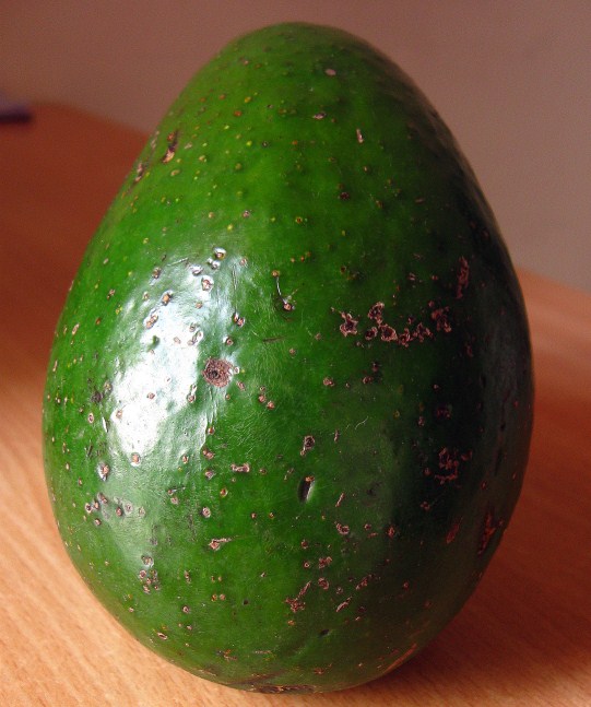 Avocado in tamil