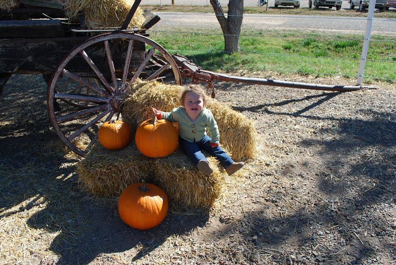 Soren Andrew McCalls Pumpkin Patch