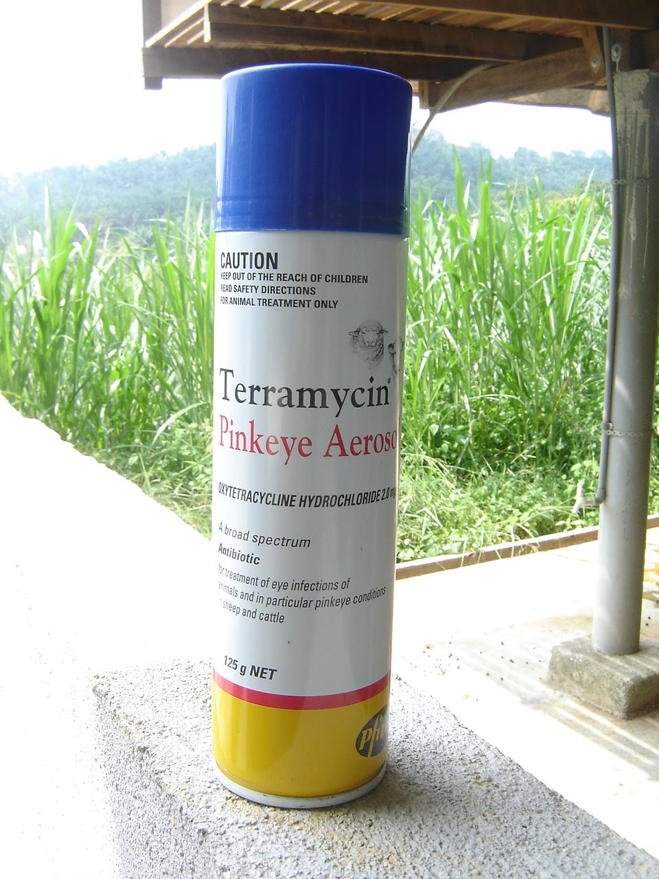 Ubat Sakit Mata Berjangkit  Viral News Top