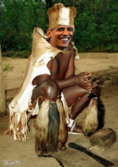 [Obama_skins.jpg]