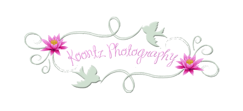 Koontz Photography & Design